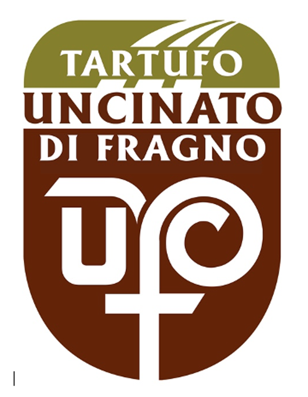 Denominazione Tartufo Uncinato di Fragno.