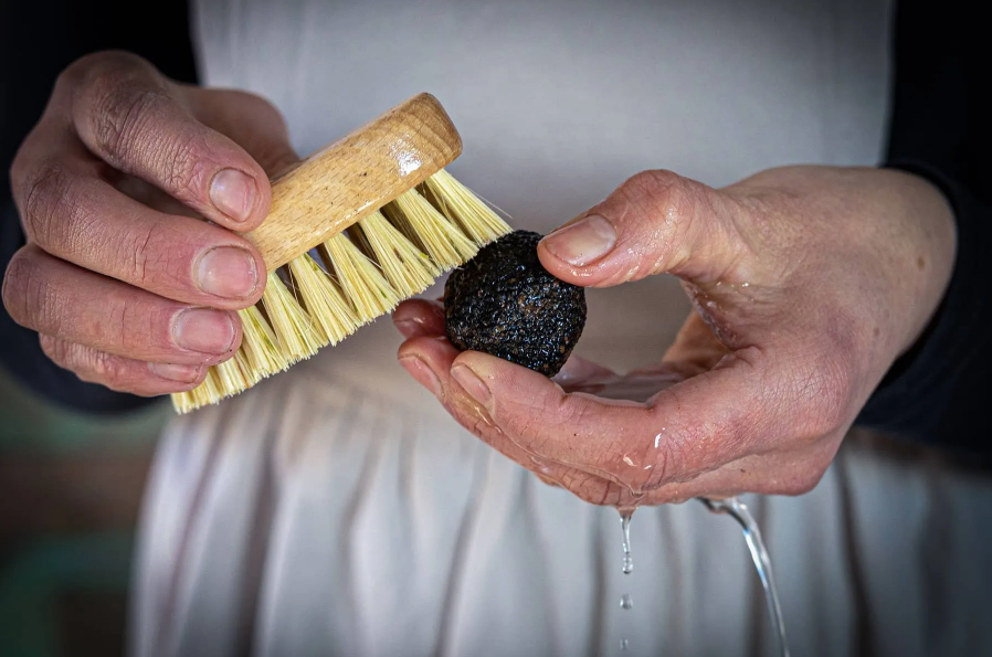 La pulizia del tartufo con spazzolino.